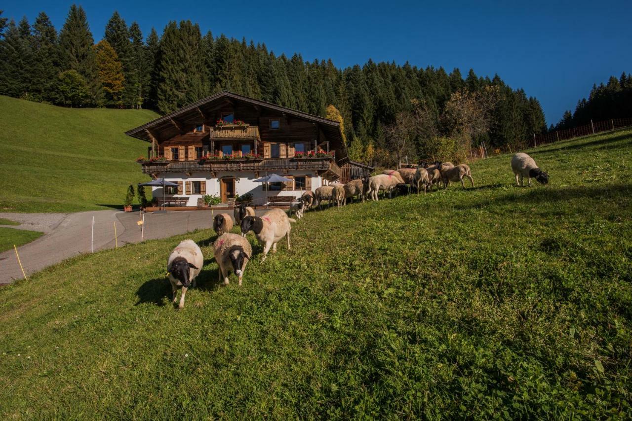 Апартаменти Bauernhof Muehltalhof Елльмау Екстер'єр фото